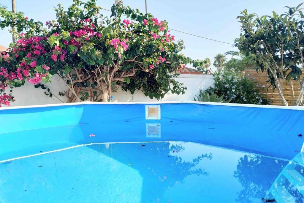 Apartamento Privado Con Jardin, Piscina Elevada Y Bbq Chiclana de la Frontera Buitenkant foto